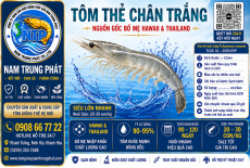 Nhãn tôm thẻ chân trắng