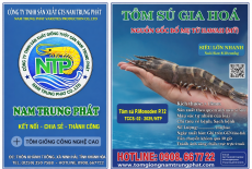 Nhãn hiệu tôm sú gia hoá