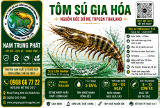 Nhãn tôm sú gia hoá