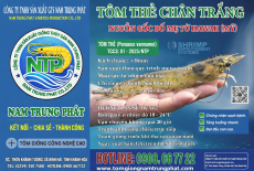 Nhãn hiệu tôm thẻ chân trắng