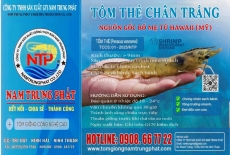 Nhãn hiệu tôm thẻ 