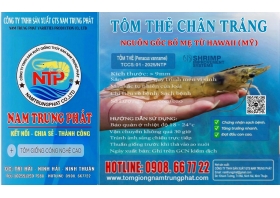 Nhãn bao bì thương hiệu