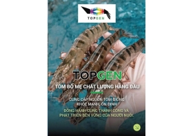 ĐỐI TÁC CUNG CẤP BỐ MẸ 