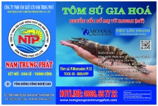 Nhãn hiệu tôm sú