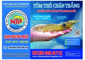 Nhãn bao bì thương hiệu