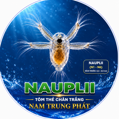 NAUPLIIUS