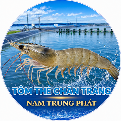 Tôm Thẻ Chân Trắng