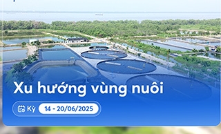 Xu hướng vùng nuôi: Cảnh báo khuẩn gan và ruột vẫn tiếp tục tăng cao